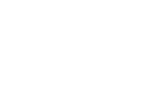 PanteraCRM logo