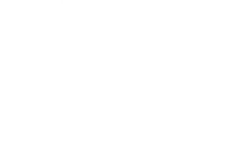 PanteraCRM logo